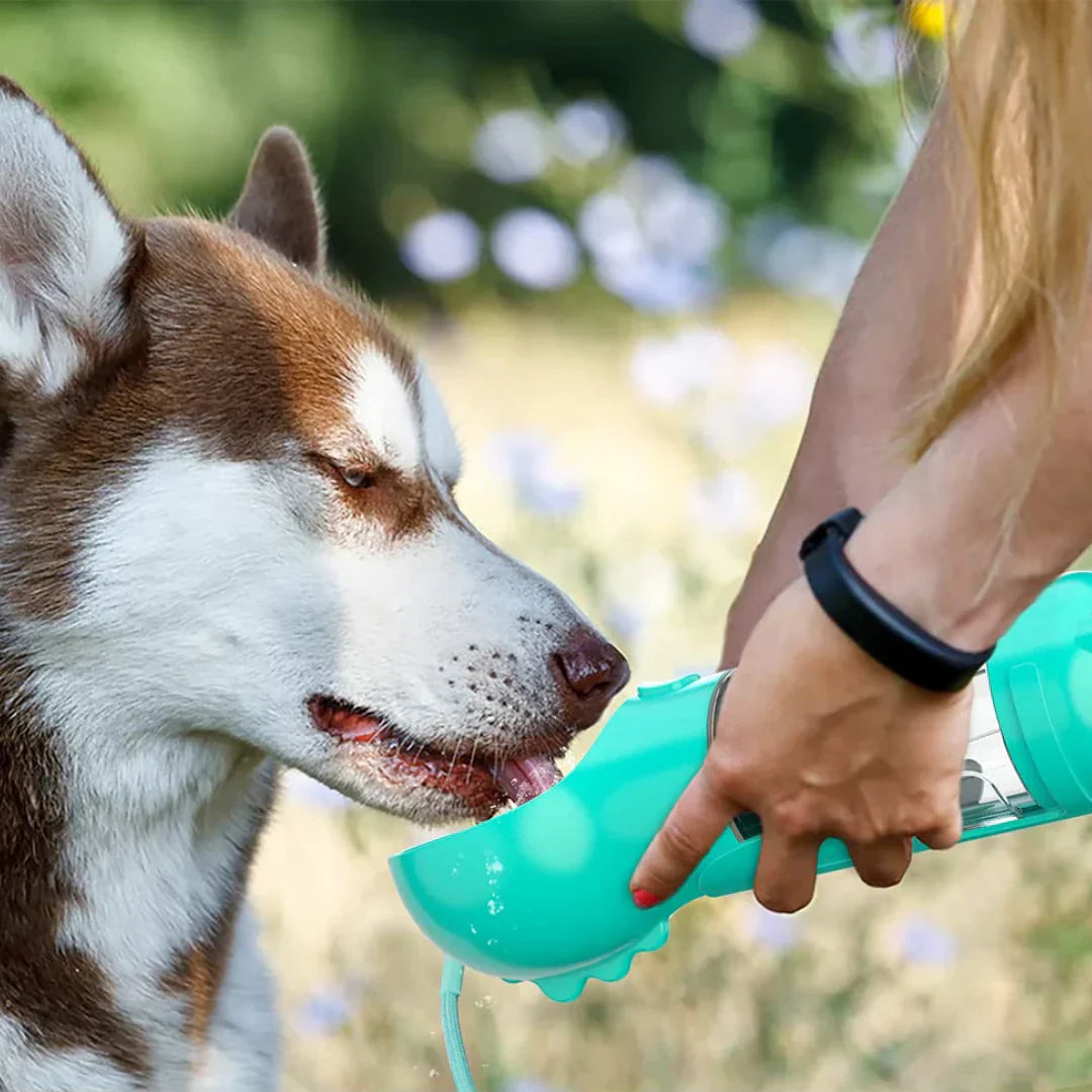 HydroPet Pro: Solución Portátil 3 en 1 para el Cuidado de Mascotas